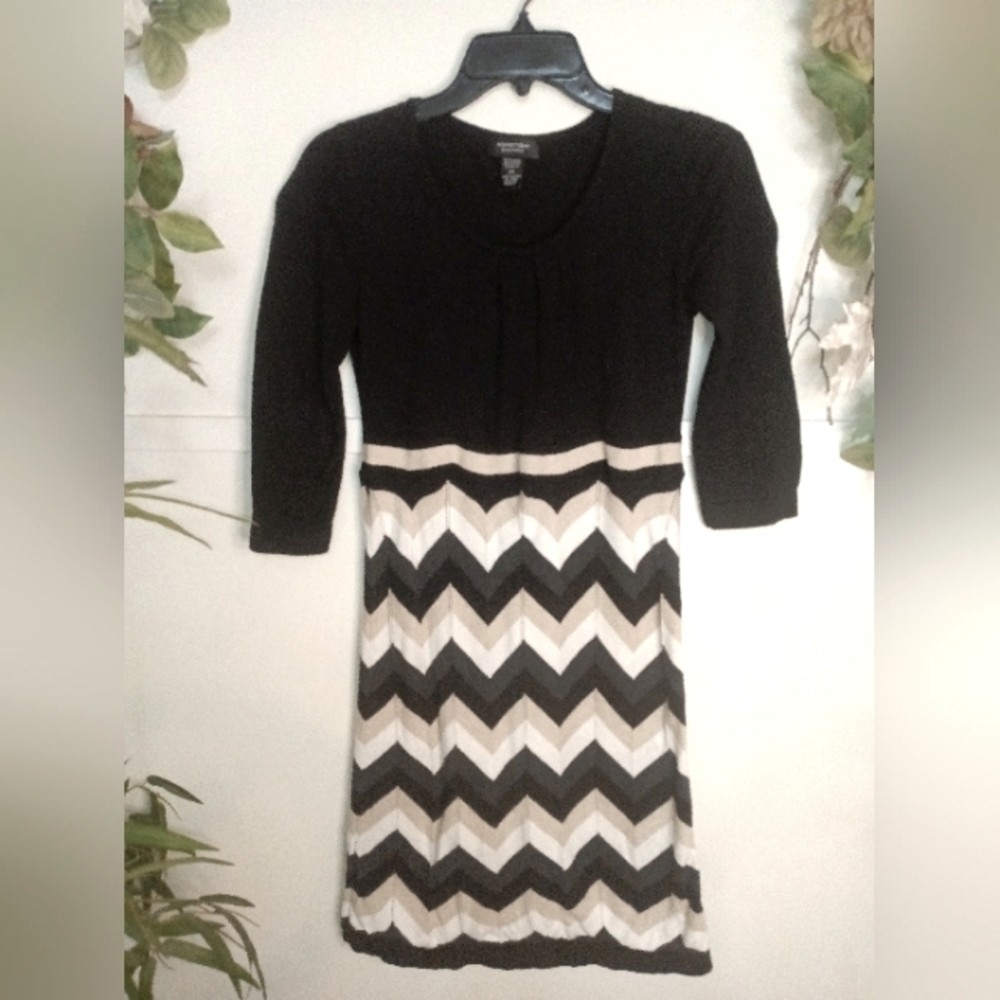 Spence Petite Sweater Dress Size PS